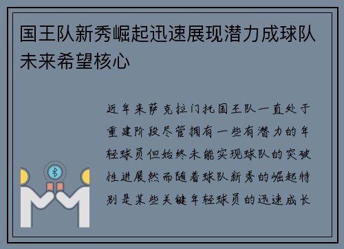 国王队新秀崛起迅速展现潜力成球队未来希望核心