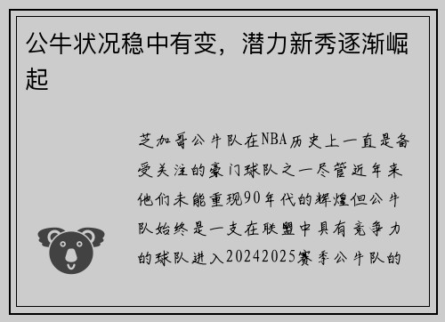 公牛状况稳中有变，潜力新秀逐渐崛起