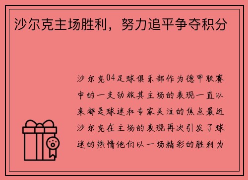 沙尔克主场胜利，努力追平争夺积分