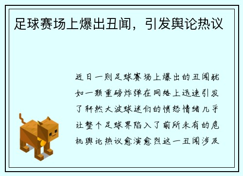足球赛场上爆出丑闻，引发舆论热议